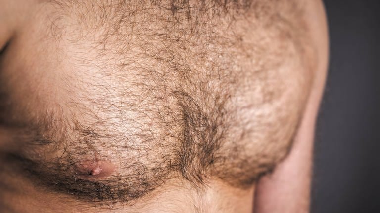 Behaarte Männerbrust - hyginisch keinesfalls bedenklich (Foto: IMAGO, imago/blickwinkel)