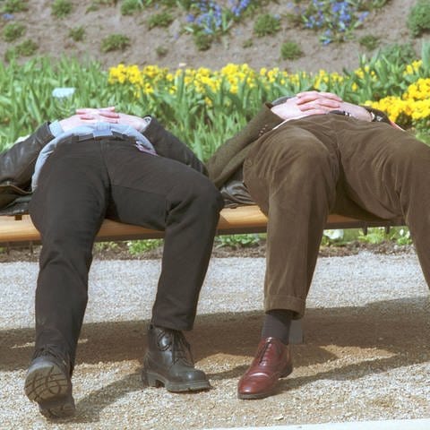 Frühjahrsmüde: Zwei Männer schlafen, umringt von Frühlingsblumen, auf einer Parkbank (Foto: IMAGO, IMAGO / photothek)