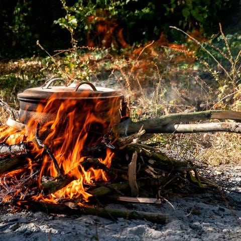 Terra Preta lässt sich im Garten selbst herstellen