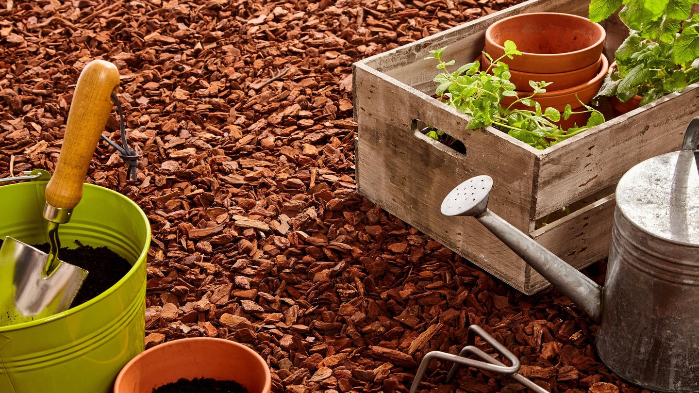 Mulch schützt den Boden in heißen Sommern vor dem Austrocknen (Foto: IMAGO, IMAGO / Panthermedia)