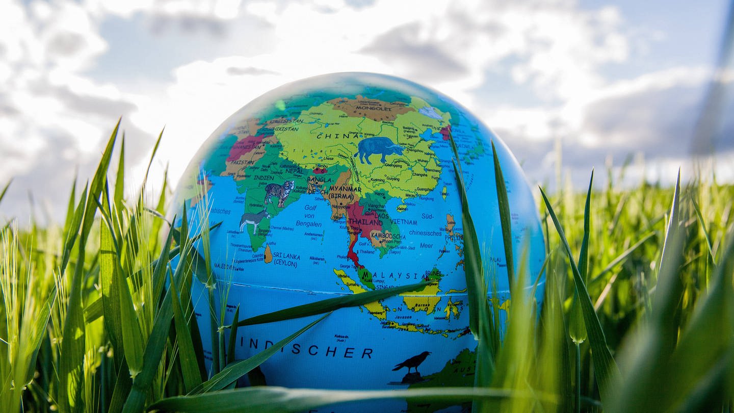 Globus im Gras (Symbolbild Klimawandel) (Foto: IMAGO, Globus im Gras)