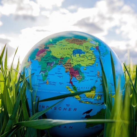 Globus im Gras (Symbolbild Klimawandel)