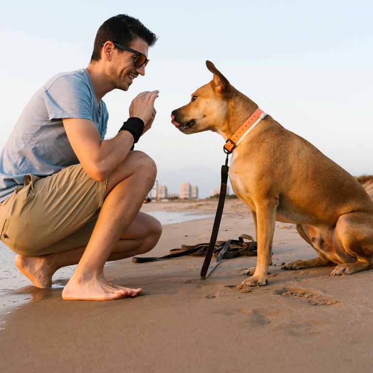 Mann mit Hund am Strand: Hunde mögen es nicht, wenn man sich beim Anleinen über sie beugt und am Kopf streichelt (Foto: IMAGO, Hunde mögen es nicht, wenn man sich beim Anleinen über sie beugt und am Kopf streichelt)