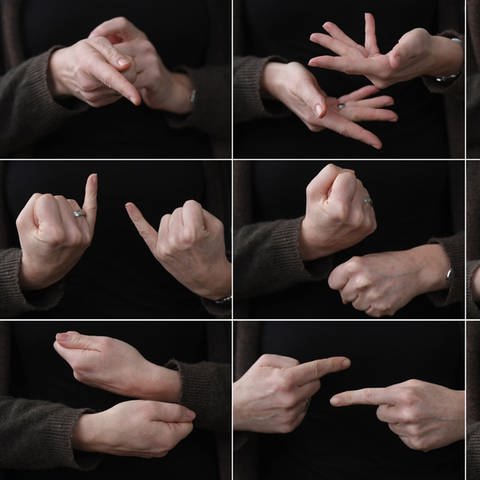Die Bildkombo zeigt die Hände einer Gebärdendolmetscherin  (Foto: dpa Bildfunk, picture alliance / Arne Dedert/dpa | Arne Dedert)
