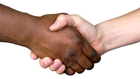 Handschlag einer schwarzen und einer weißen Hand: Menschenrassen gibt es nicht (Foto: IMAGO, imago images / Shotshop)