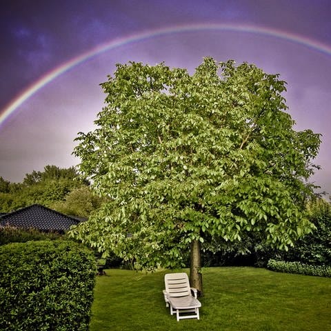 Regenbogen (Foto: Colourbox)