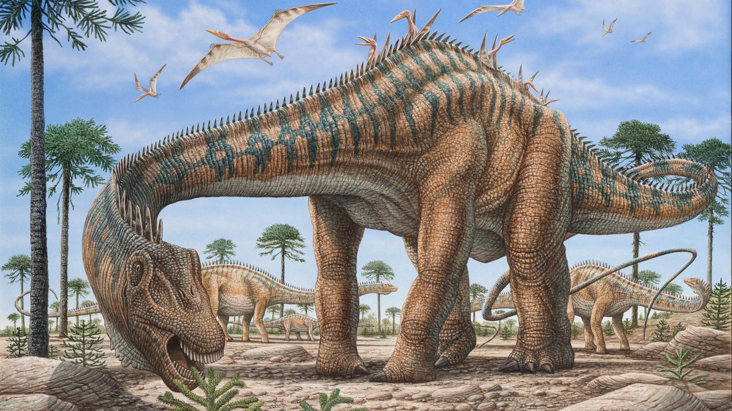 Diplodocus: Es gibt Versuche, das Alter von Langhalsdinosauriern zu berechnen. So wurde herausgefunden, dass selbst die ganz riesigen Tiere nicht älter als 70 Jahre geworden sind. (Foto: IMAGO, IMAGO / StockTrek Images)