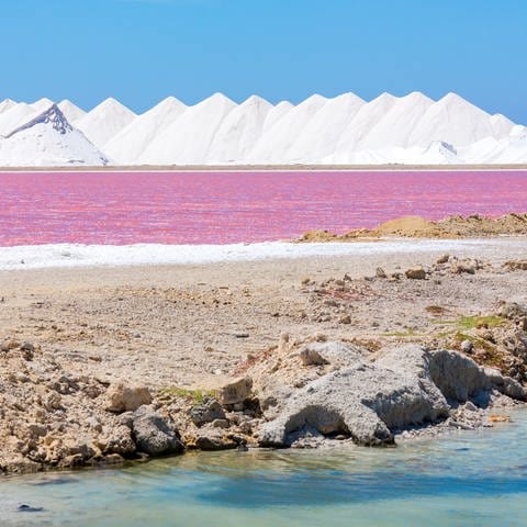 Weiße Salzhügel mit rosafarbenem Salzsee und blauem Himmel auf Bonaire (ABC-Inseln  Kleine Antillen) (Foto: picture-alliance / Reportdienste, picture alliance / Zoonar | Ben Schonewille)