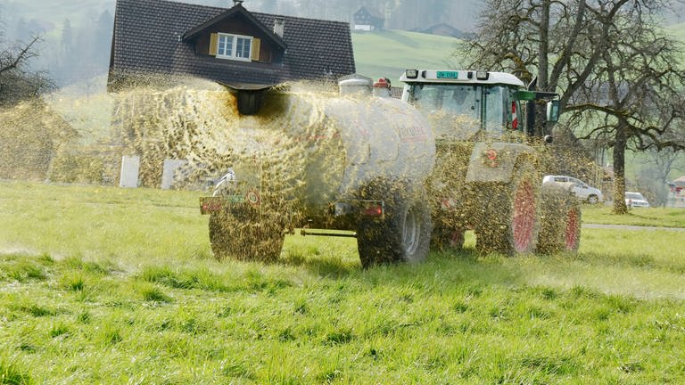 Traktor mit Jaucheanhänger sprüht ein Feld: Volkswirtschaftlich wäre es sinnvoll, Gülle in Biogasanlagen zu fahren und Biogas zu gewinnen. Allerdings werden die meisten Biogasanlagen mit Mais betrieben. Der bringt eine höhere Ausbeute an Gas. (Foto: IMAGO, IMAGO / Geisser)