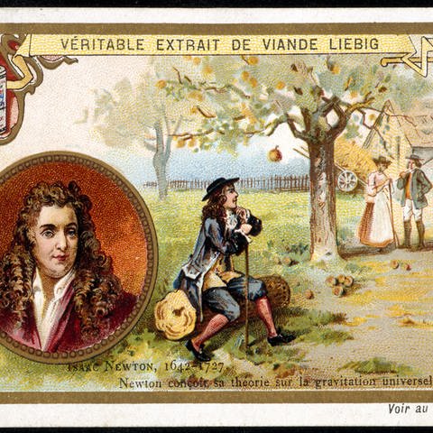 Liebigbild: Isaac Newtons (1643 - 1727) angebliches Schlüsselerlebnis mit dem Apfel, dargestellt auf einem fanzösischen Liebig-Fleischextrakt-Sammelbild Ende des 19. Jahrhunderts (Foto: IMAGO, IMAGO / KHARBINE-TAPABOR)