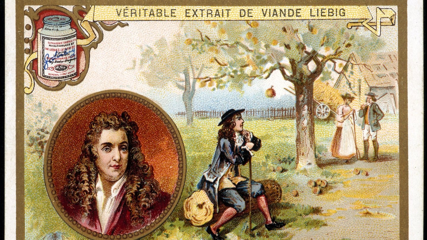 Liebigbild: Isaac Newtons (1643 - 1727) angebliches Schlüsselerlebnis mit dem Apfel, dargestellt auf einem fanzösischen Liebig-Fleischextrakt-Sammelbild Ende des 19. Jahrhunderts