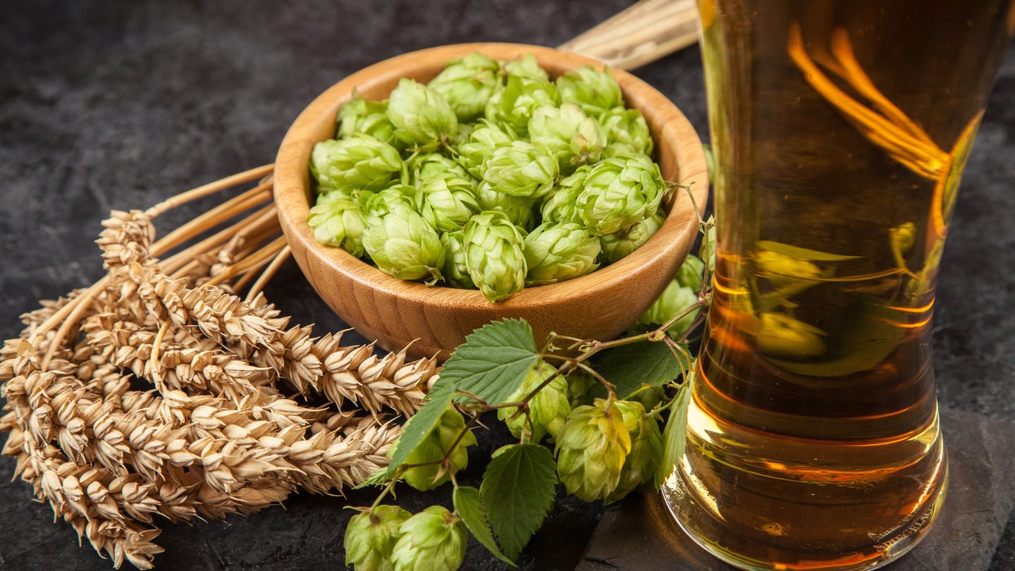 Zur Herstellung von alkoholfreiem Bier werden keine anderen Zutaten verwendet wie für 