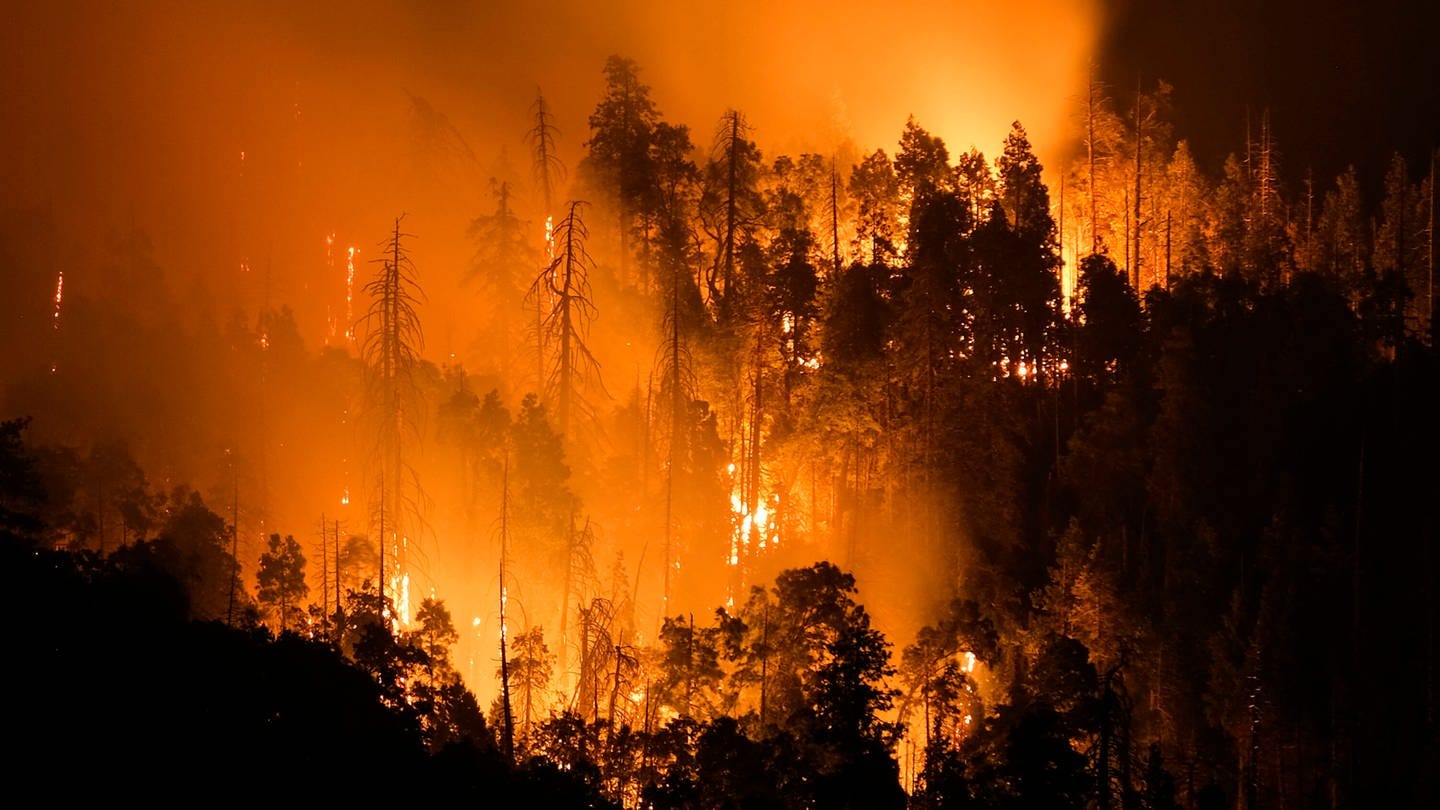 Waldbrand in Kalifornien / USA: Der Klimawandel verändert aber die Verteilung von Niederschlägen. Er führt dazu, dass wir im Schnitt häufigere, teilweise lokale Starkregen haben, dazwischen aber längere Dürreperioden. Das ist der eigentliche Faktor, der dazu führen könnte, dass bei steigenden globalen Temperaturen das Waldbrandrisiko steigt. (Foto: IMAGO, IMAGO / ZUMA Wire)