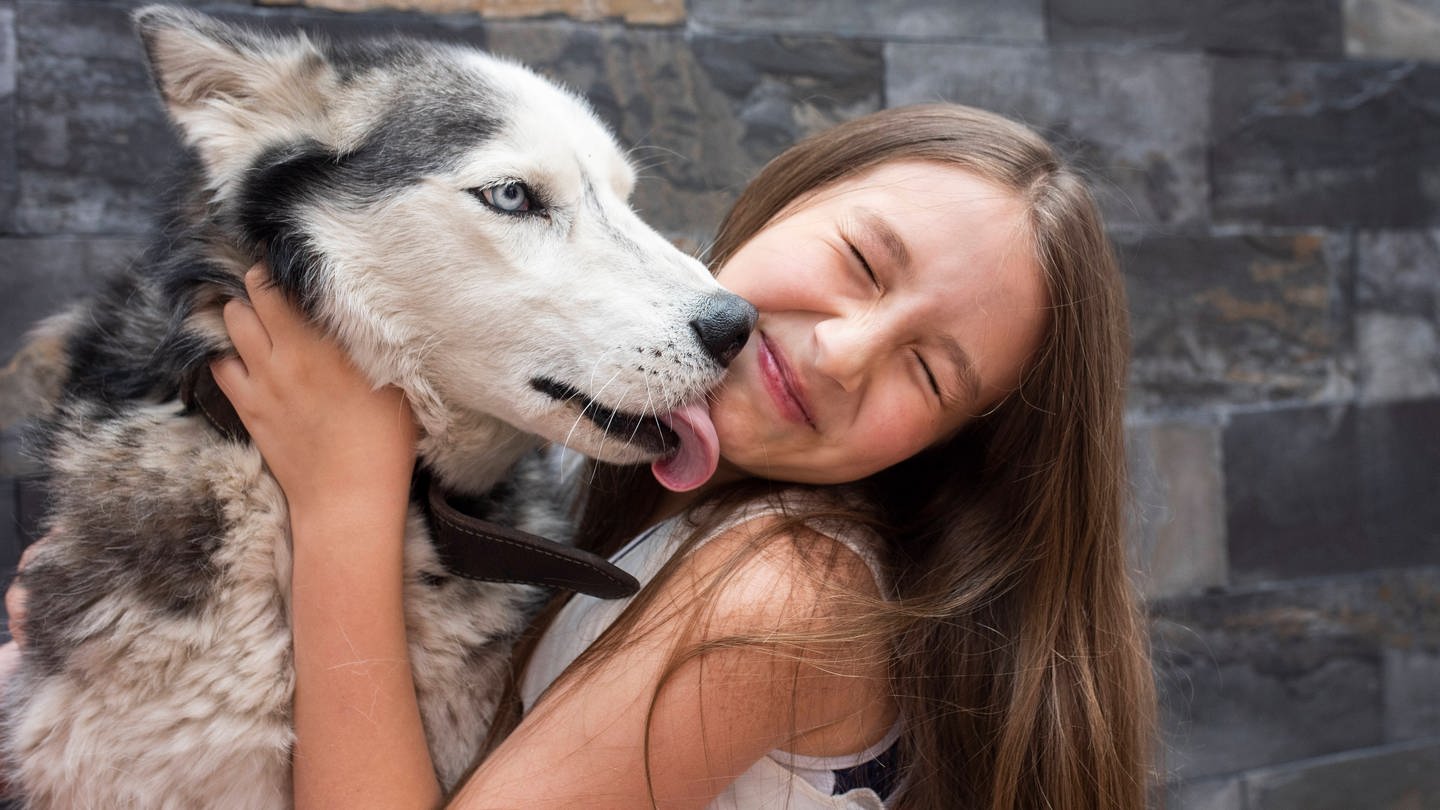 Hund leckt einem Mädchen, das die Augen zukneift, mit der Zunge übers Gesicht: Das Lecken gehört bei Hunden zum natürlichen Sozialverhalten. Wenn es zu exzessiv und unangenehm wird, sollte man das Tier ablenken. (Foto: IMAGO, IMAGO / Westend61)