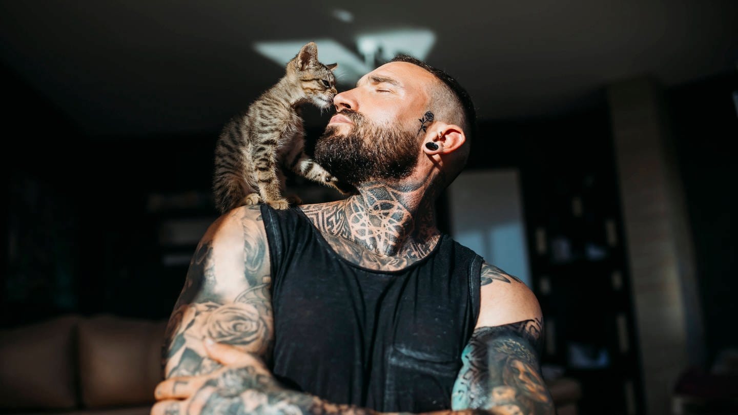 Getigerte Katze schleckt tatovierten Mann im Gesicht: Die Katze nimmt beim Lecken Salz von unserem Schweiß auf, aber es ist auch ein Verhaltensritual (Foto: IMAGO, IMAGO / Westend61)