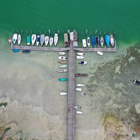 Trockenheit am Bodensee: Mehrere Boote liegen im Hafen von Iznang. Der Großteil der Boote am Steg wurde schon herausgenommen. Durch das Niedrigwasser des Bodensees kann auch das Kursschiff nicht mehr am Steg von Iznang anlegen. (Foto: picture-alliance / Reportdienste, picture alliance/dpa | Felix Kästle)