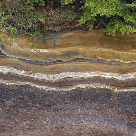 Lavaschichten in der Vulkaneifel. Mineralstoffe, Eisen oder auch Mangan sind für die Färbung von Böden mit verantwortlich. Es kommt aber auch auf die Bodenbedingungen an, also ob Luft im Boden vorhanden ist oder ob der Boden wassergesättigt ist. (Foto: IMAGO, IMAGO / blickwinkel)