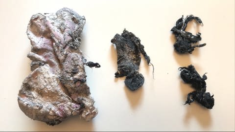 Waschmaschinenarchäologie: Links eine mumifizierte Damensocke. Die spärlichen Gewebereste rechts davon konnten nach detaillierter Untersuchung zwei seit der letzten Eiszeit vermissten Herrensocken zugeordnet werden.  (Foto: SWR, Uwe Gradwohl)