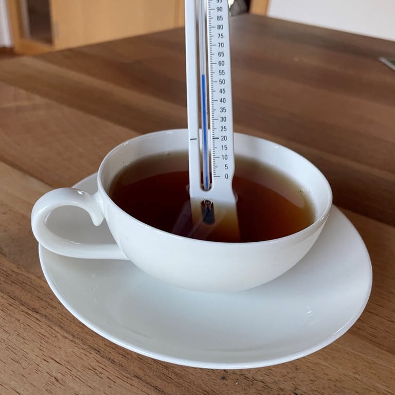 Wer täglich mehr als 0,7 Liter heißen Tee mit einer Temperatur von mehr als 60°C trinkt, hat ein fast doppelt so großes Risiko, an Speiseröhrenkrebs zu erkranken im Vergleich zum Rest der Bevölkerung. Zu diesem Ergebnis kam eine Studie aus dem Iran. Wenn man aber die Studie genauer liest, stellt sich der Zusammenhang nicht ganz so dramatisch dar. (Foto: SWR, Gábor Paál)