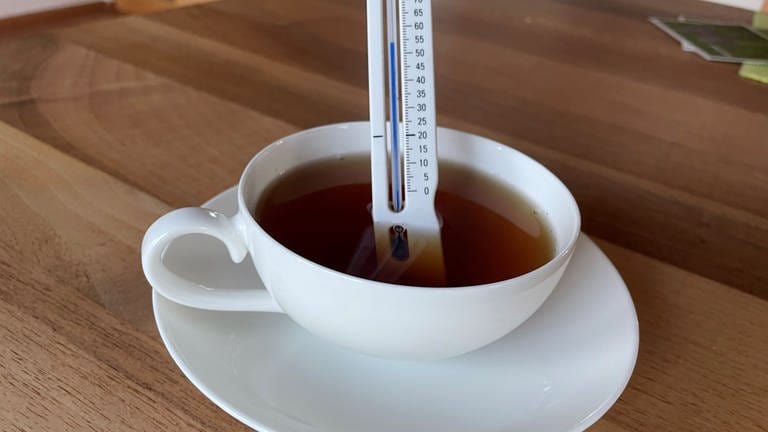 Wer täglich mehr als 0,7 Liter heißen Tee mit einer Temperatur von mehr als 60°C trinkt, hat ein fast doppelt so großes Risiko, an Speiseröhrenkrebs zu erkranken im Vergleich zum Rest der Bevölkerung. Zu diesem Ergebnis kam eine Studie aus dem Iran. Wenn man aber die Studie genauer liest, stellt sich der Zusammenhang nicht ganz so dramatisch dar. (Foto: SWR, Gábor Paál)