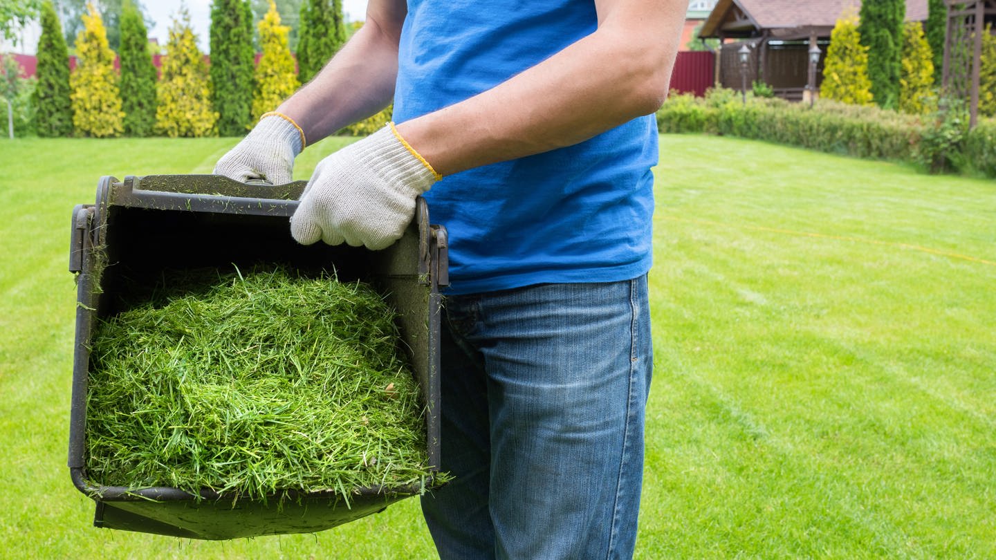 Ein Mann hält einen Container mit Grasschnitt nach dem Rasenmähen: Gras ist sehr gut für den Kompost, aber es sollte durchmischt werden. Denn wenn man einen zu großen Haufen Gras auf einmal auf den Kompost wirft, beginnt das Gras zu faulen. (Foto: IMAGO, IMAGO / Pond5)