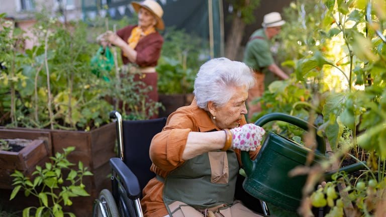 Seniorin im Rollstuhl gießt Pflanzen in einem Hochbeet: Das Hochbeet lässt sich als begrenzter Raum gut kontrollieren. Dort kann man Tomaten, Salat, Radieschen oder Rettich anpflanzen. Und auch für Menschen mit körperlichen Einschränkungen sind die Beete gut erreichbar. (Foto: IMAGO, IMAGO / HalfPoint Images)