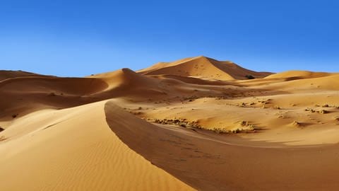 Sanddünen in der Sahara  Marokko (Foto: IMAGO, IMAGO / imagebroker)