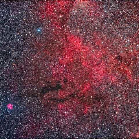 Mehrere Arten von Deep-Sky-Objekten sind hier vertreten: ein Emissionsnebel, dunkle Nebel und Sternhaufen in diesem reichen Feld in Cygnus. 