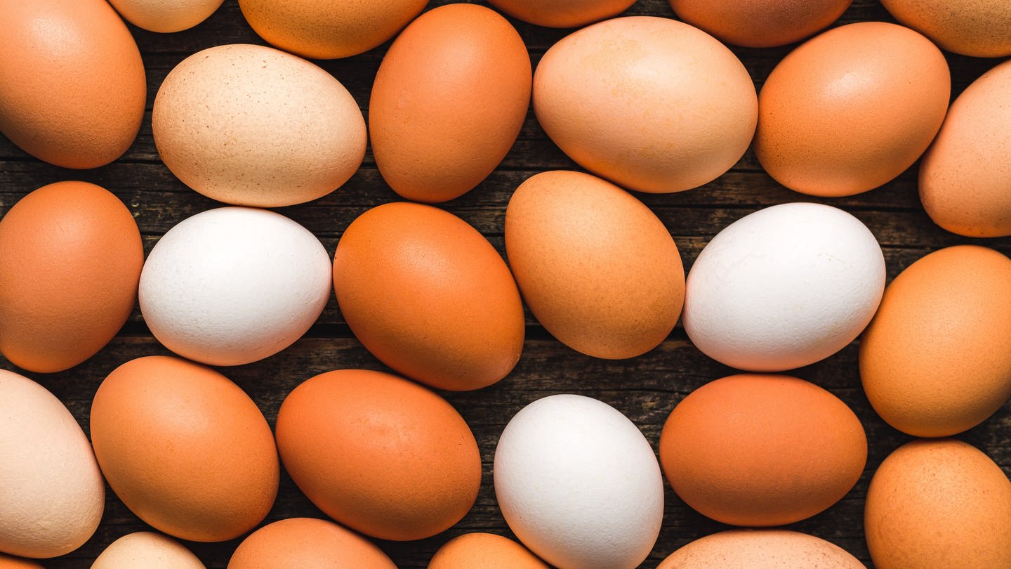 Braune und weiße Eier: Eierschalen bestehen hauptsächlich aus Kalk und Kalk ist weiß – das ist also die Grundfarbe der Eier. Braune Eier haben verschiedene Pigmente, weiße Eier haben keine Pigmente. Ob ein Huhn weiße oder pigmentierte Eier legt, ist ausschließlich eine Frage der Gene und damit eine Frage der Hühnerrasse. (Foto: IMAGO, IMAGO / Pond5 Images)