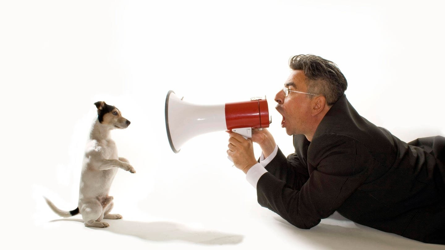 Jack Russell empfängt Kommandos mit dem Megafon: In der Hundeerziehung kommt es auf die Stimmmodulation an (Foto: IMAGO, IMAGO / imagebroker)