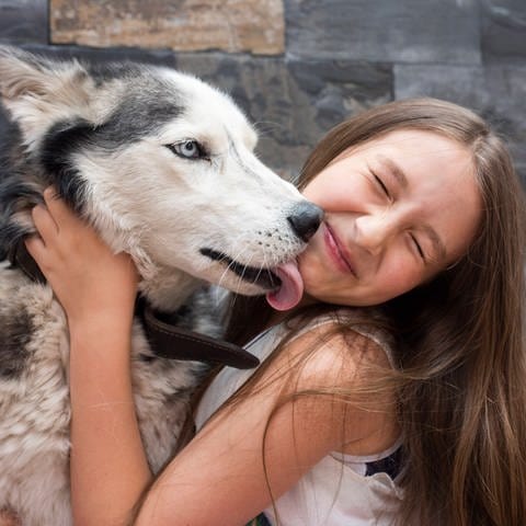 Hund leckt einem Mädchen, das die Augen zukneift, mit der Zunge übers Gesicht: Das Lecken gehört bei Hunden zum natürlichen Sozialverhalten. Wenn es zu exzessiv und unangenehm wird, sollte man das Tier ablenken.