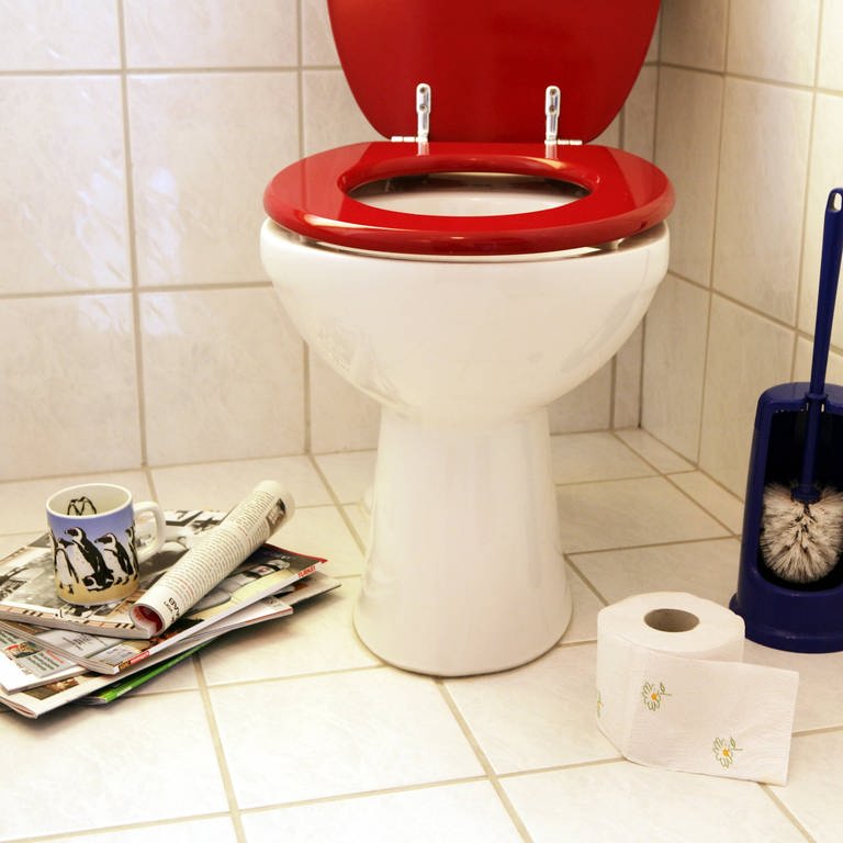 Zeitschriften und eine Kaffeetasse sorgen für Kurzweil und Entspannung auf der Toilette mit roter Klobrille: Der Ekel vor Fäkalien ist allerdings ein angeborenes Gefühl und dient als Schutzmechanismus. (Foto: IMAGO, IMAGO / Jochen Tack)