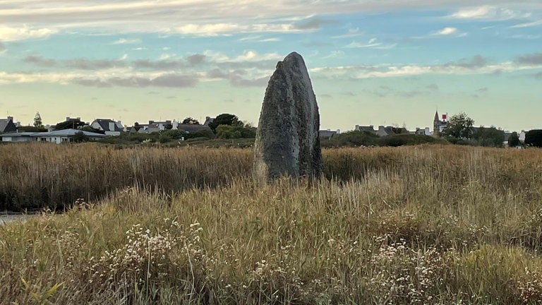 Menhir de Léhan (Foto: SWR, Candy Sauer)