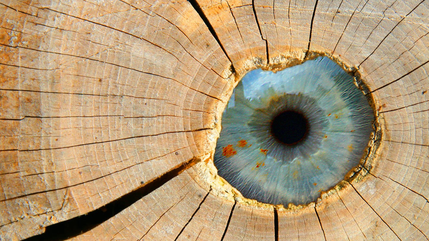 Auge mit blauer Iris in einem Stück Holz: Seit der Romantik war das Mittelalter beliebt: Mittelalterromane und Mittelalterdramen entstanden. Aber die Quellen für die Redensarten sind meist andere. Auch 
