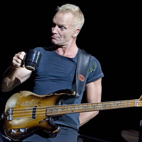 Sting, Sänger und Bassist der britischen Band "The Police", am 29.8.2007 bei einem Konzert in Stockholm