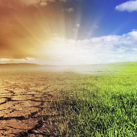 Klimawandel (Foto: Getty Images, Thinkstock -)
