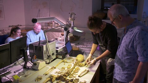 Im Labor werden die sterblichen Überreste der Perlenfrau von Ammerbuch genau untersucht (Foto: SWR)