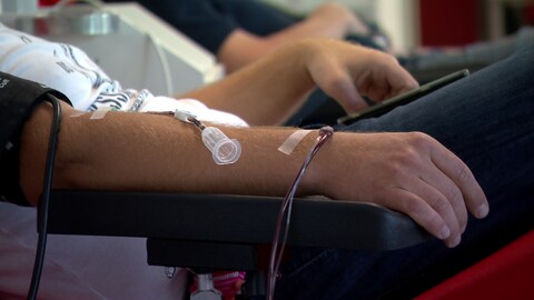 Die Blutspendedienste suchen nun nach Menschen, die eine Covid-19 Erkrankung überwunden haben und bereit sind Blutplasma zu spenden.  (Foto: SWR)