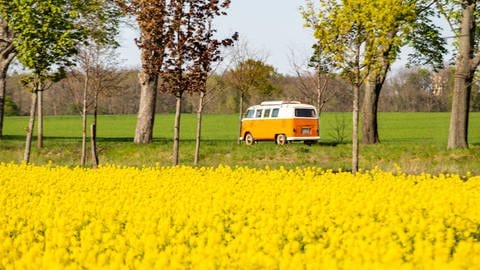 Kleinbus fährt durch Natur im Sommer (Foto: imago images, imago images/A. Friedrichs)