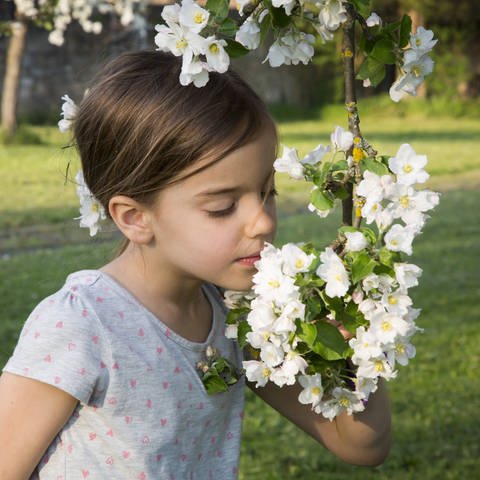 Little girl smelling apple blossom m (Foto: IMAGO, imago images / Westend61)