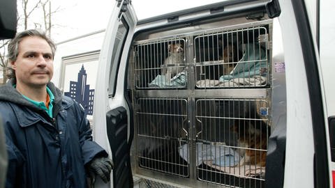 Tierschutzbund holt 20 Hunde ab (Foto: IMAGO, imago images / ZUMA Press)