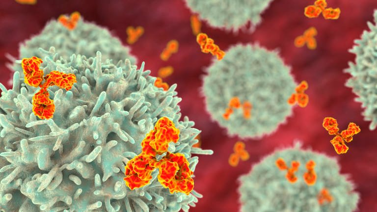 Blutmoleküle mit Antikörpern (Foto: IMAGO, imago images / Science Photo Library)