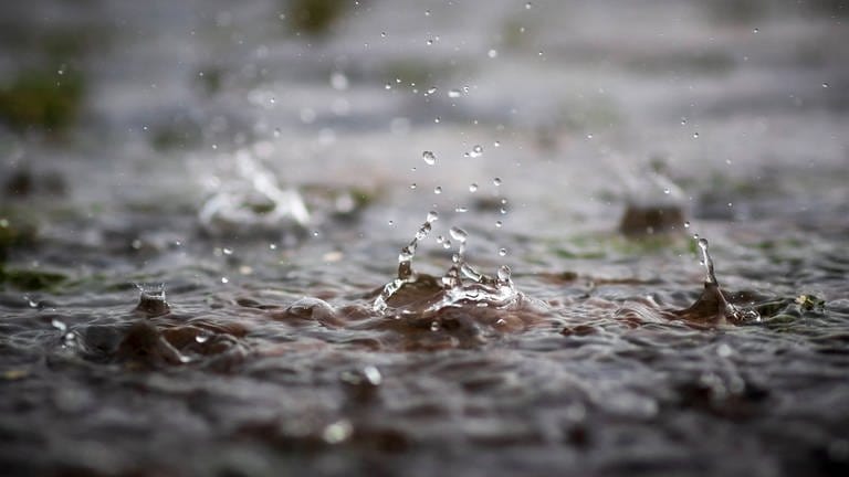 Regentropfen fallen in eine Pfütze (Foto: IMAGO, 54° / Felix Koenig via www.imago-images.de)