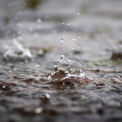 Regentropfen fallen in eine Pfütze (Foto: IMAGO, 54° / Felix Koenig via www.imago-images.de)