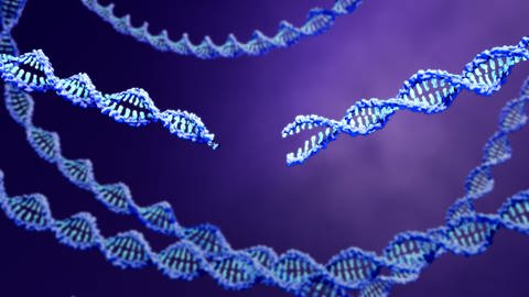 Mit CRISPCas9, einer Methode zur Genom-Editierung, kann auch menschliches Erbgut manipuliert werden. Biohacker nutzen die Methode für "Optimierungen" am eigenen Körper. (Foto: IMAGO, imago images/Science Photo Library)