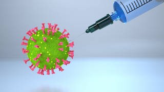Ob man nach einer Impfung gegen das neue Coronavirus noch andere infizieren kann, ist wissenschaftlich noch nicht geklärt. (Foto: imago images, imago images/Alexander Limbach)