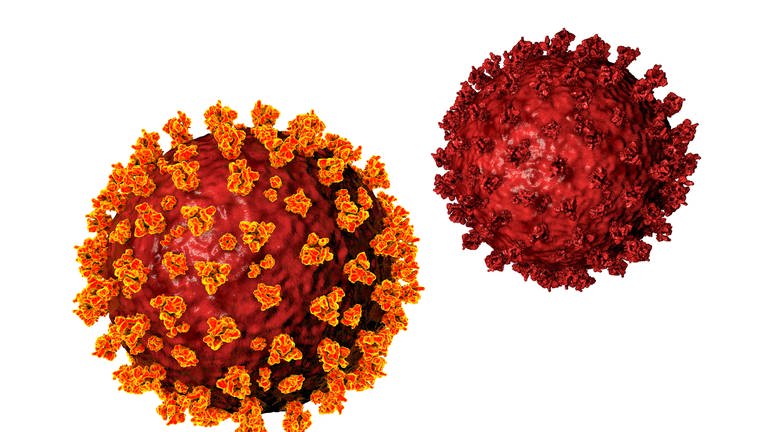 Coronavirus (Foto: IMAGO, imago images / Science Photo Library)