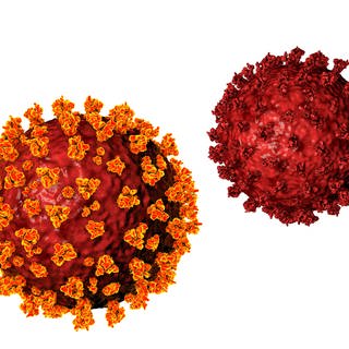 Coronavirus (Foto: imago images, imago images / Science Photo Library)