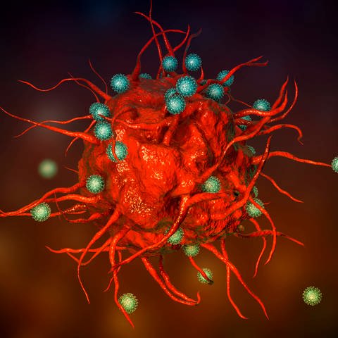 SARS-CoV-2 Viren im Kampf mit einer Immunzelle (Illustration) (Foto: IMAGO, imago images/Science Photo Library)