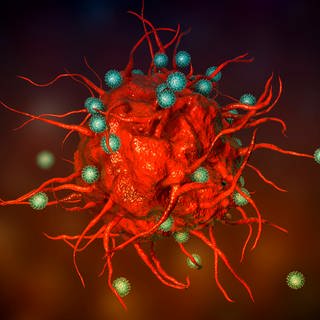 SARS-CoV-2 Viren im Kampf mit einer Immunzelle (Illustration) (Foto: imago images, imago images/Science Photo Library)